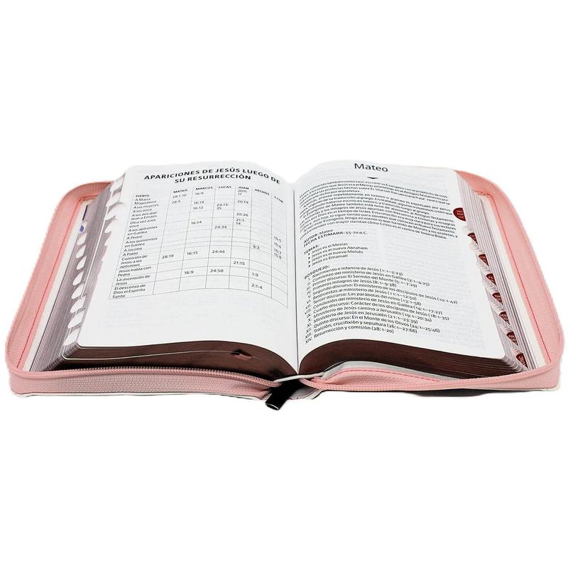 Gracevelle Large Print Women’s RVR 1960 Bible