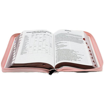 Gracevelle Large Print Women’s RVR 1960 Bible